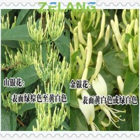 山銀花壓片糖果，山銀花提取物壓片代加工