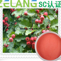 山楂濃縮粉，SC認證廠家，壓片糖果