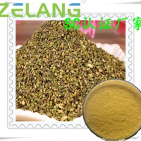 代加工槐米液體，槐米固體飲料，槐米提取物，代加工槐米壓片