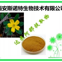 達(dá)米阿那萃取粉 20:1 比例萃取 供應(yīng)