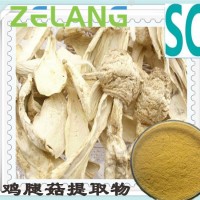 代加工雞腿菇提取物