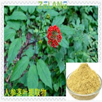 人參莖葉壓片代加工，南京澤朗廠家生產