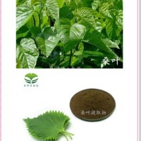 桑葉提取物壓片代加工，桑葉濃縮粉供應