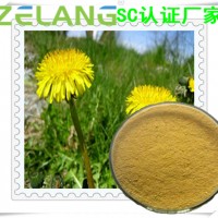 蒲公英提取物壓片代加工，蒲公英濃縮粉供應