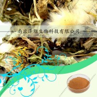 蒲公英提取物，蒲公英壓片，蒲公英液體灌裝，蒲公英固體飲料代工