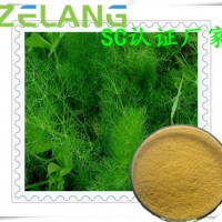 小茴香提取物，小茴香固體飲料，小茴香液體飲料，小茴香壓片代工