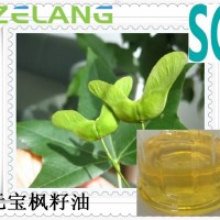 代加工元寶楓籽油飲料灌裝