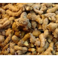 代加工生姜提取物，生姜粉，藥食同源提取物生產(chǎn)廠家