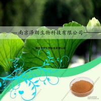 荷葉提取物Lotus Leaf extract