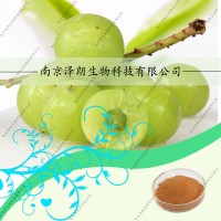 余甘子固體飲料，液體飲料代加工，余甘子提取物，余甘子壓片