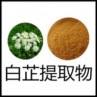 白芷粉藥食同源廠家供應(yīng)