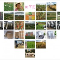 三七肽粉資質(zhì)齊全