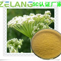 白芷提取物，白芷固體飲料代加工，白芷液體灌裝，白芷提取物壓片