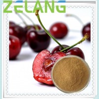針葉櫻桃提取物10～25%，針葉櫻桃粉