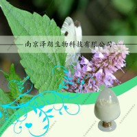 藿香提取物，藿香固體飲料代加工，藿香液體灌裝，藿香壓片