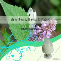 藿香提取物，藿香粉，SC認證廠家，代加工藥食同源固體飲料