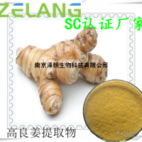 高良姜提取物，代加工壓片糖果，液體飲料