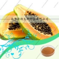 木瓜提取物壓片代加工，木瓜濃縮粉，南京澤朗廠家生產