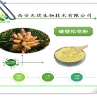 破壁松花粉 現貨供應 西安天瑞生物
