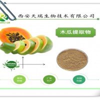 木瓜提取物 果粉 廠家供應  現貨