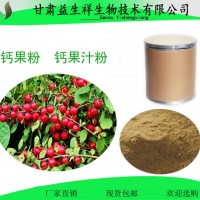 鈣果粉  鈣果汁粉  山梅子粉 歐李粉