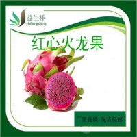 火龍果提取物   火龍果濃縮粉
