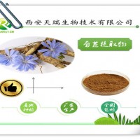 菊苣提取物10:1廠家供應
