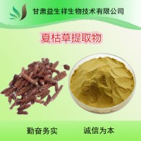 夏枯草提取物 夏枯草速溶粉