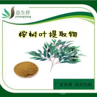 桉葉提取物10:1 桉樹(shù)葉提取物 速溶桉樹(shù)葉粉