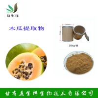木瓜葉提取物 10:1  木瓜葉粉 番木瓜葉濃縮粉