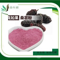 桑葚酵素粉 99%  水溶性 代餐粉