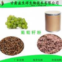 葡萄汁粉  葡萄果粉 葡萄濃縮粉 速溶果汁粉