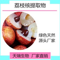 荔枝果粉 荔枝粉全水溶飲料原料