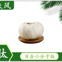 斯諾特百合小分子肽廠家供應