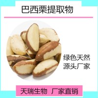 巴西栗提取物 巴西栗速溶粉天瑞生物五谷雜糧粉