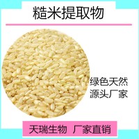 糙米純粉天瑞生物五谷雜糧粉廠家現貨