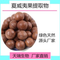 夏威夷果提取物 夏威夷果粉天瑞生物五谷雜糧粉