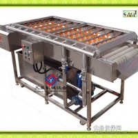 橄欖紅棗清洗機，枸杞青棗清洗機生產(chǎn)線