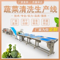 自動洗菜機(jī) 大型連續(xù)式氣泡清洗機(jī) 洗沙拉菜 火鍋菜 凈菜清洗