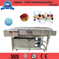 紅棗殺菌清洗機，中央廚房生產(chǎn)線，果蔬加工生產(chǎn)線，九盈