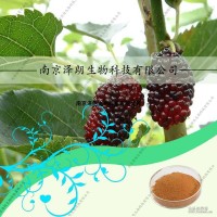 桑葉提取物，ISO22000食品安全認證，固體飲料廠家