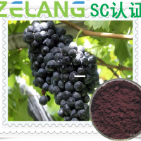 黑加侖濃縮粉 ，壓片糖果代加工，SC認證