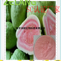 番石榴濃縮粉，SC認證廠家，番石榴粉