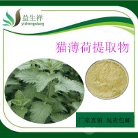 貓薄荷提取物    萃取貓薄荷粉 荊芥提取物