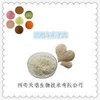 圓苞車前子殼粉 洋車前子殼粉的供應