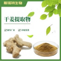 干姜粉廠家供應現貨