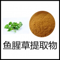魚腥草粉供應魚腥草素鈉