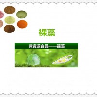 裸藻粉新資源食品