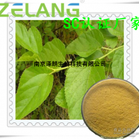 桑色素，98%，桑黃素，motin，480-16-0