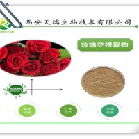 玫瑰花提取物的供應